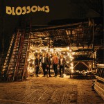 Blossoms详情