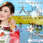 大美兴和(单曲)