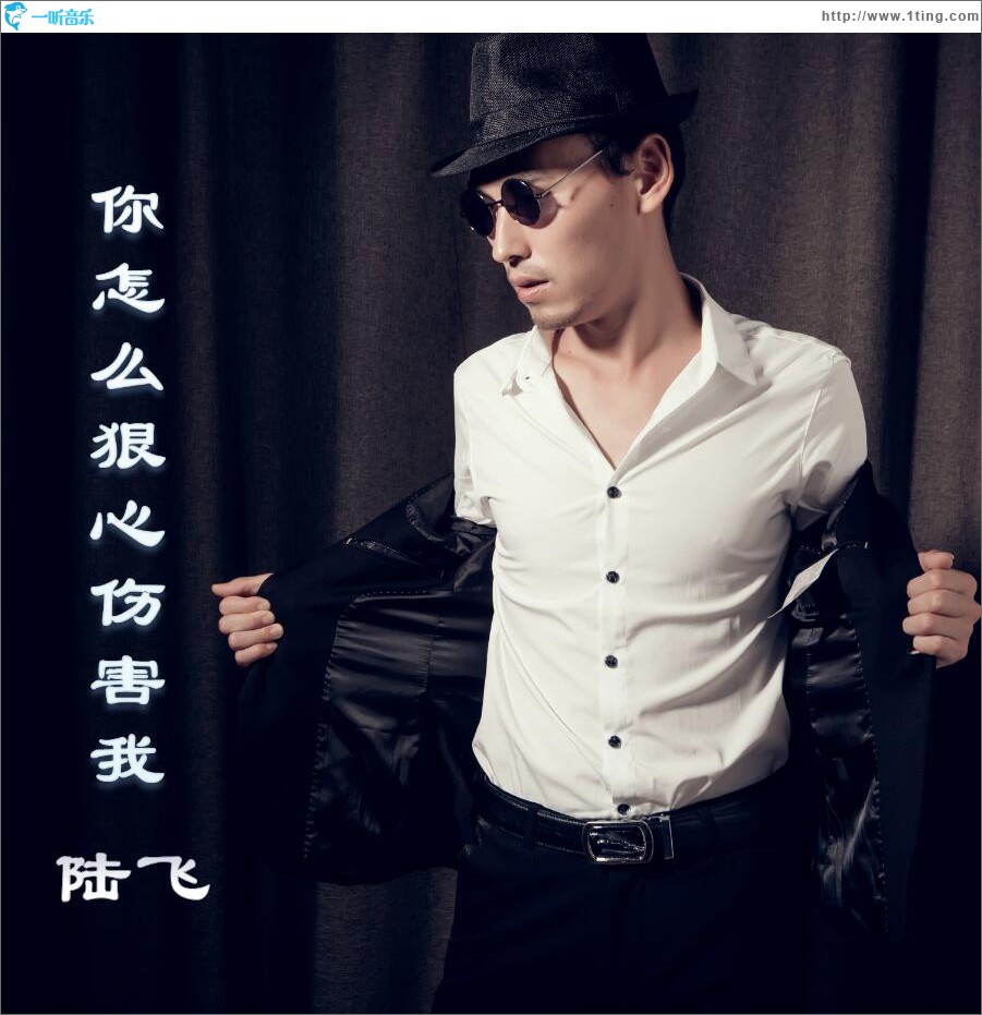 你怎么狠心伤害我 (单曲)
