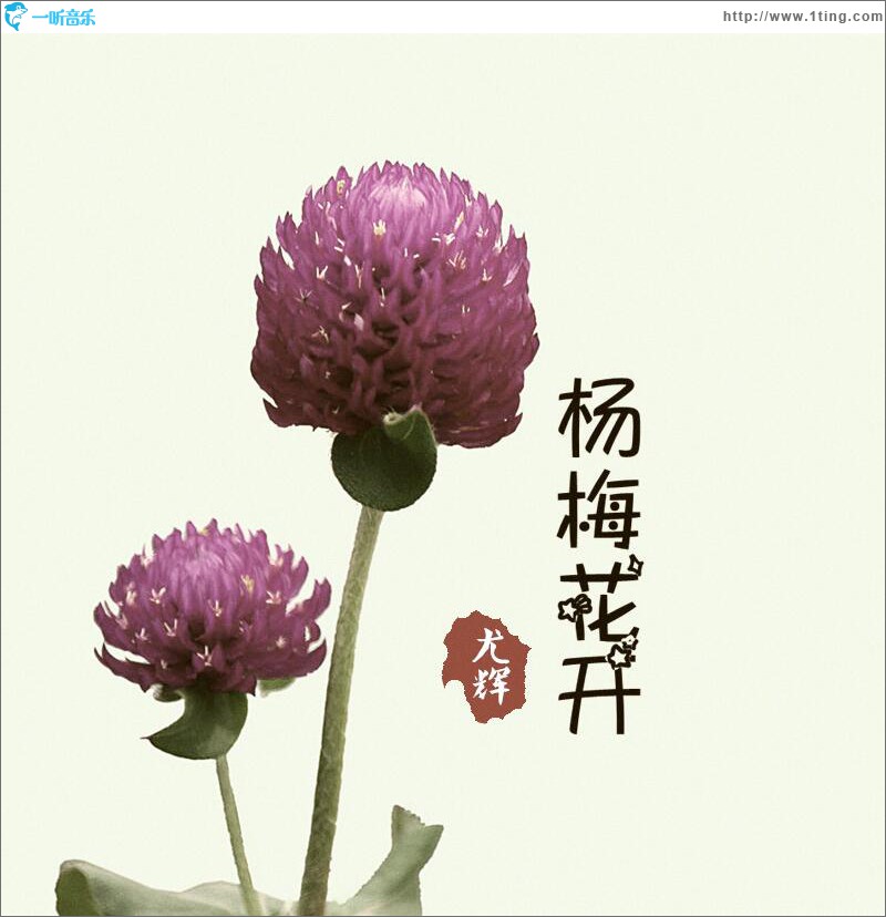 杨梅花开 (单曲)
