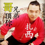 兄弟哥顶你 (单曲)试听