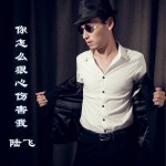 你怎么狠心伤害我 (单曲)试听