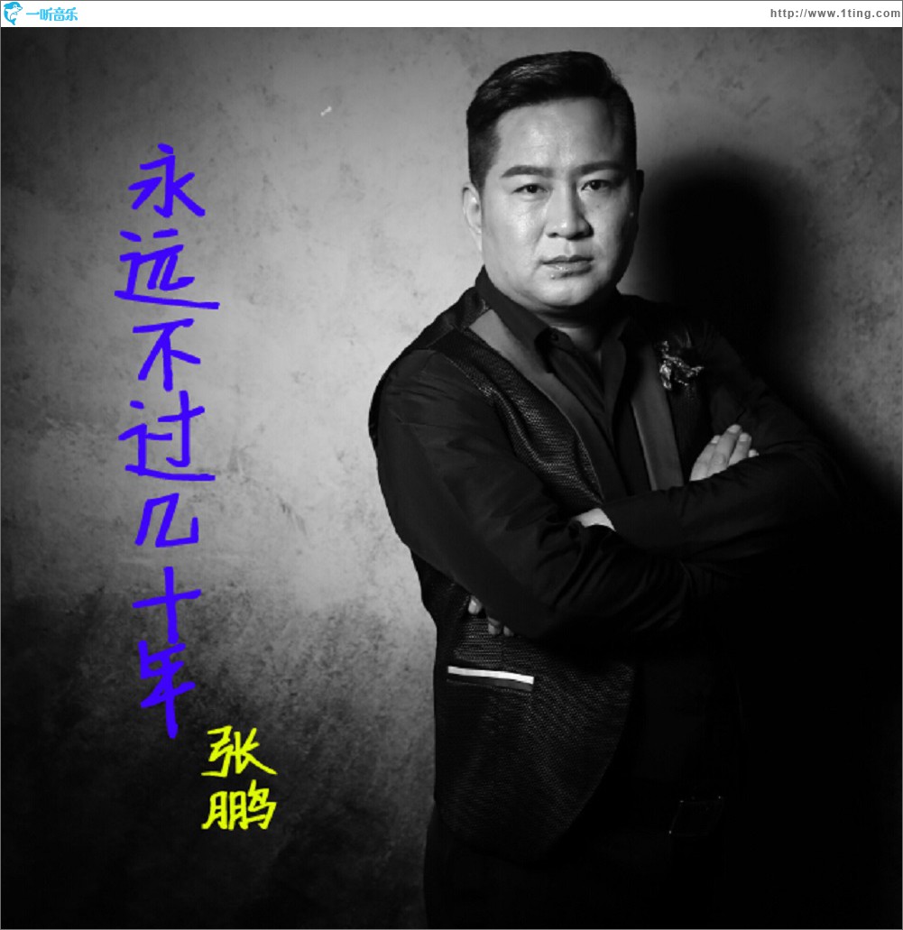 永远不过几十年 (单曲)