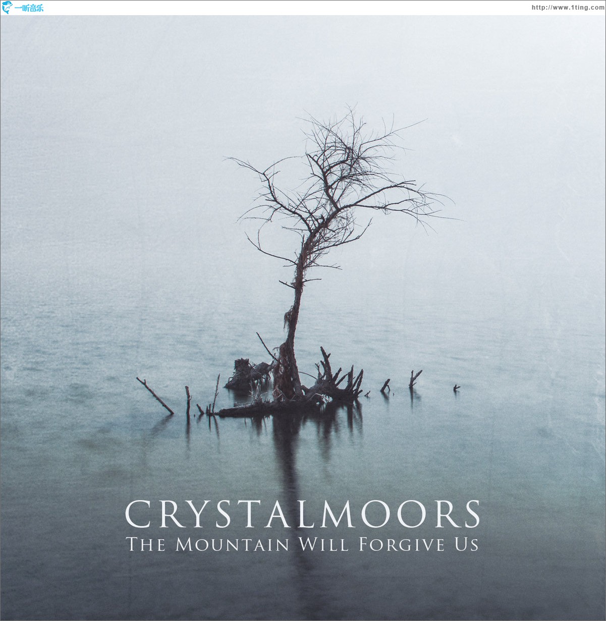 The Mountain Will Forgive Us