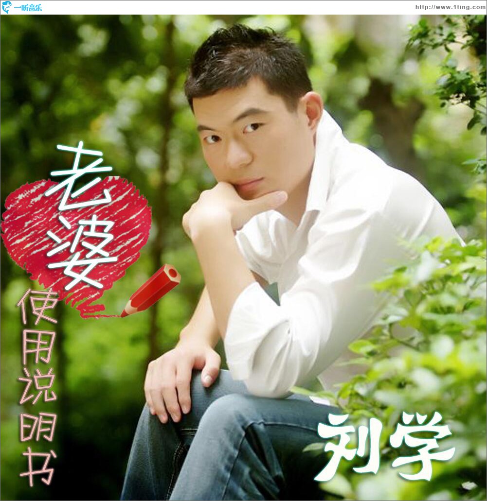 老婆使用说明书 (单曲)