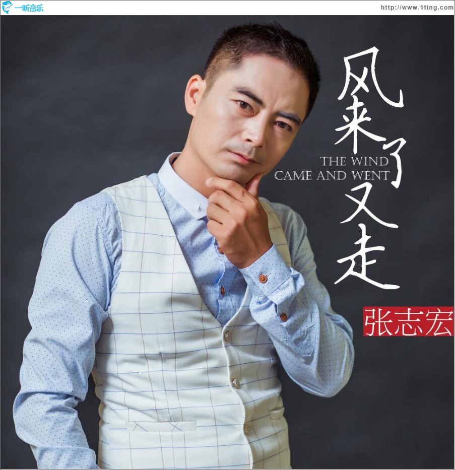 风来了又走 (单曲)