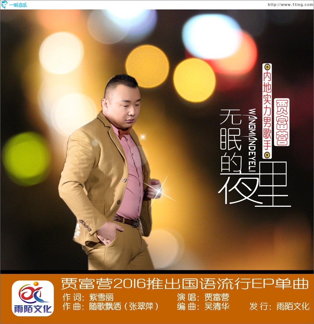无眠的夜里 (单曲)