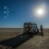 权振东 笨鸟 试听