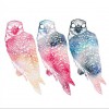 Flyying Colours Long Holiday 试听