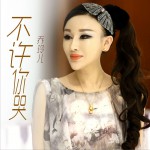 不许你哭 (单曲)试听