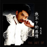 放不下的感情 (单曲)详情