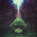 Illuminance详情