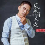 风来了又走 (单曲)详情