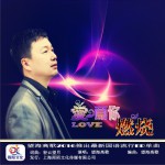 爱为你燃烧 (单曲)试听
