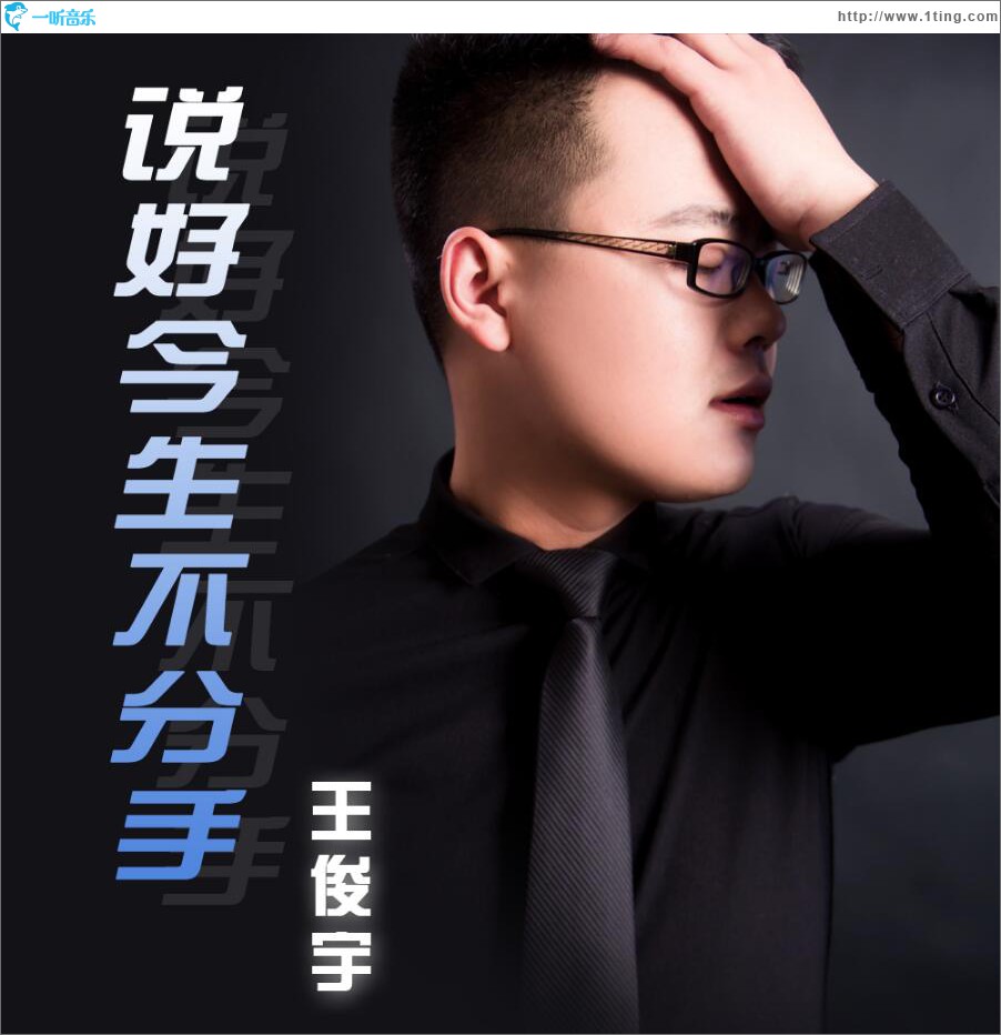 说好今生不分手 (单曲)
