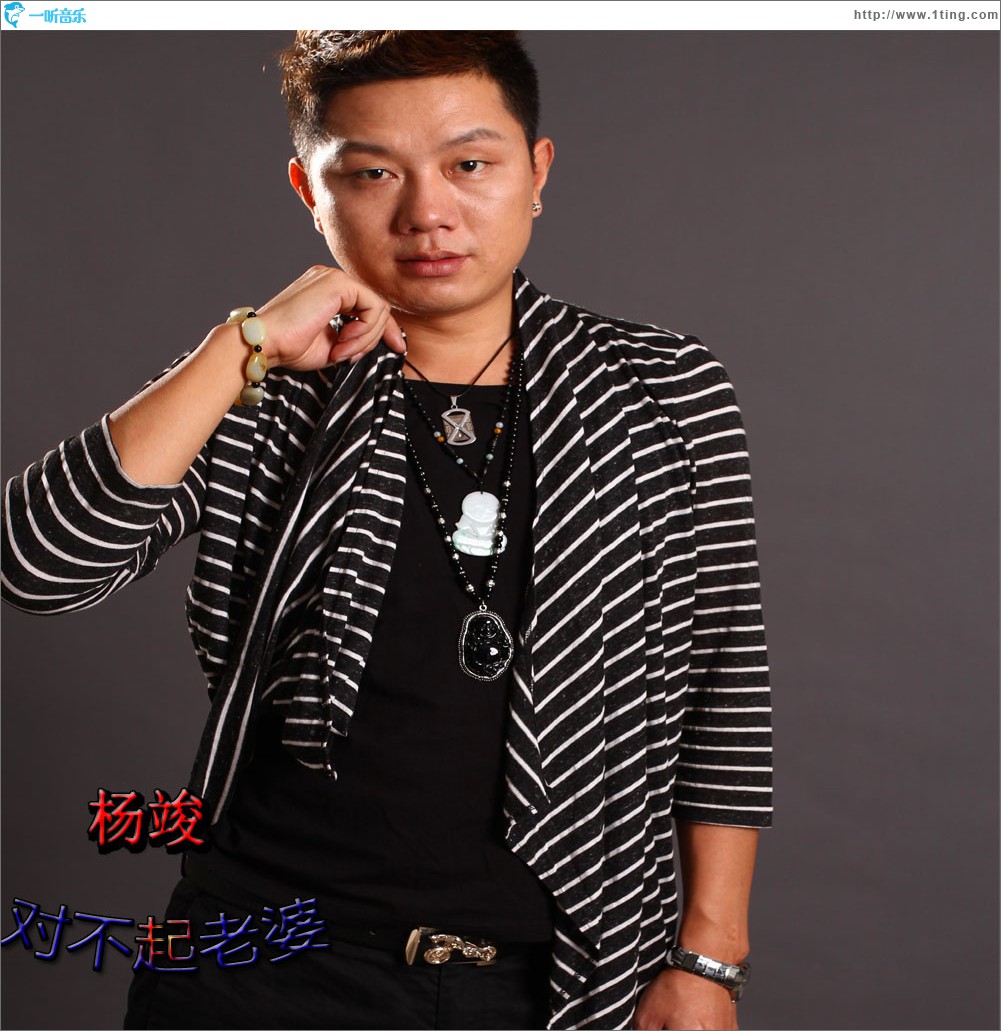 对不起老婆 (单曲)