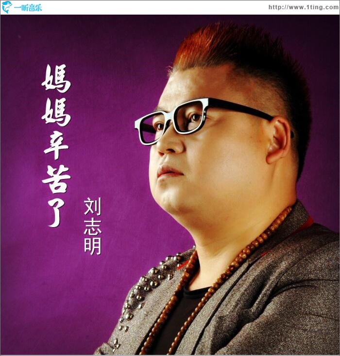 妈妈辛苦了 (单曲)