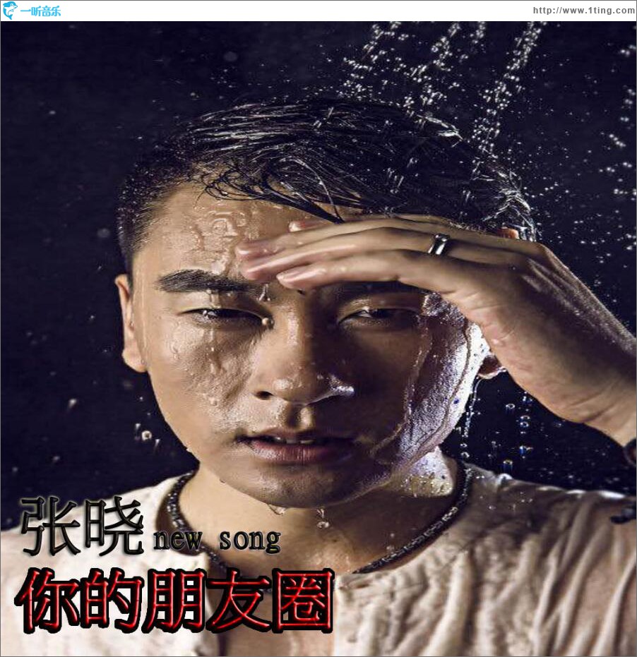 你的朋友圈 (单曲)