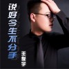 王俊宇 说好今生不分手 试听
