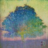 Eric Johnson Song For Irene 试听