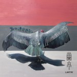 新诃德奇遇记详情