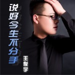 说好今生不分手 (单曲)试听