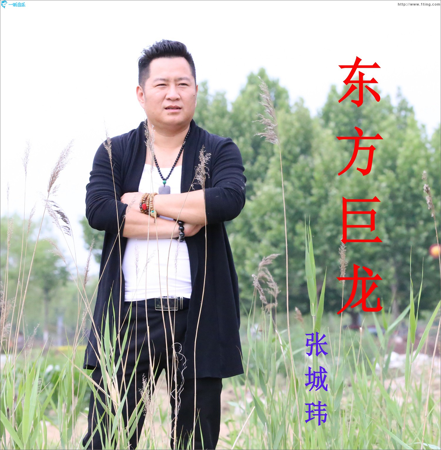 东方巨龙(单曲)