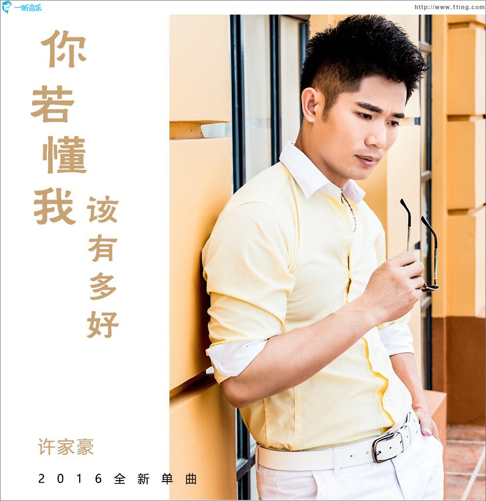 你若懂我该有多好 (单曲)