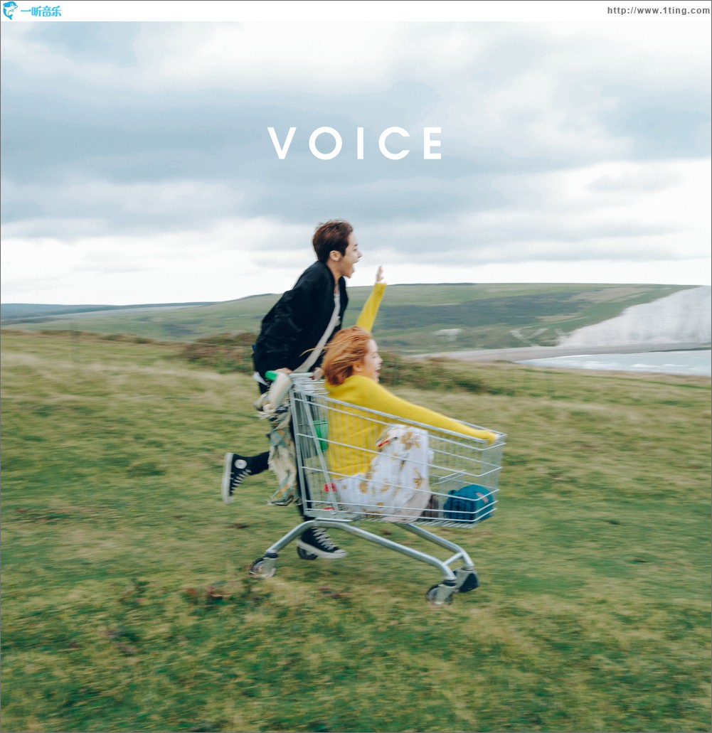 VOICE