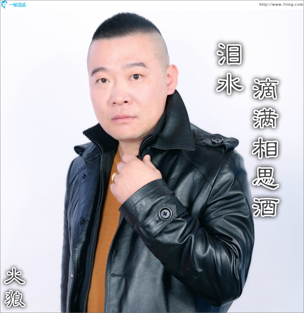 泪水滴满相思酒(单曲)