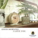Good Morning I love you(单曲)详情