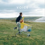 VOICE详情