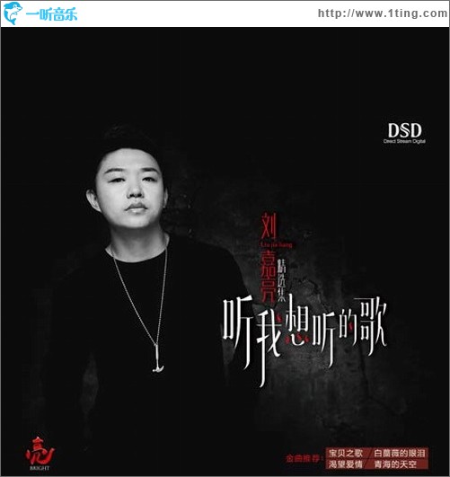 听我想听的歌