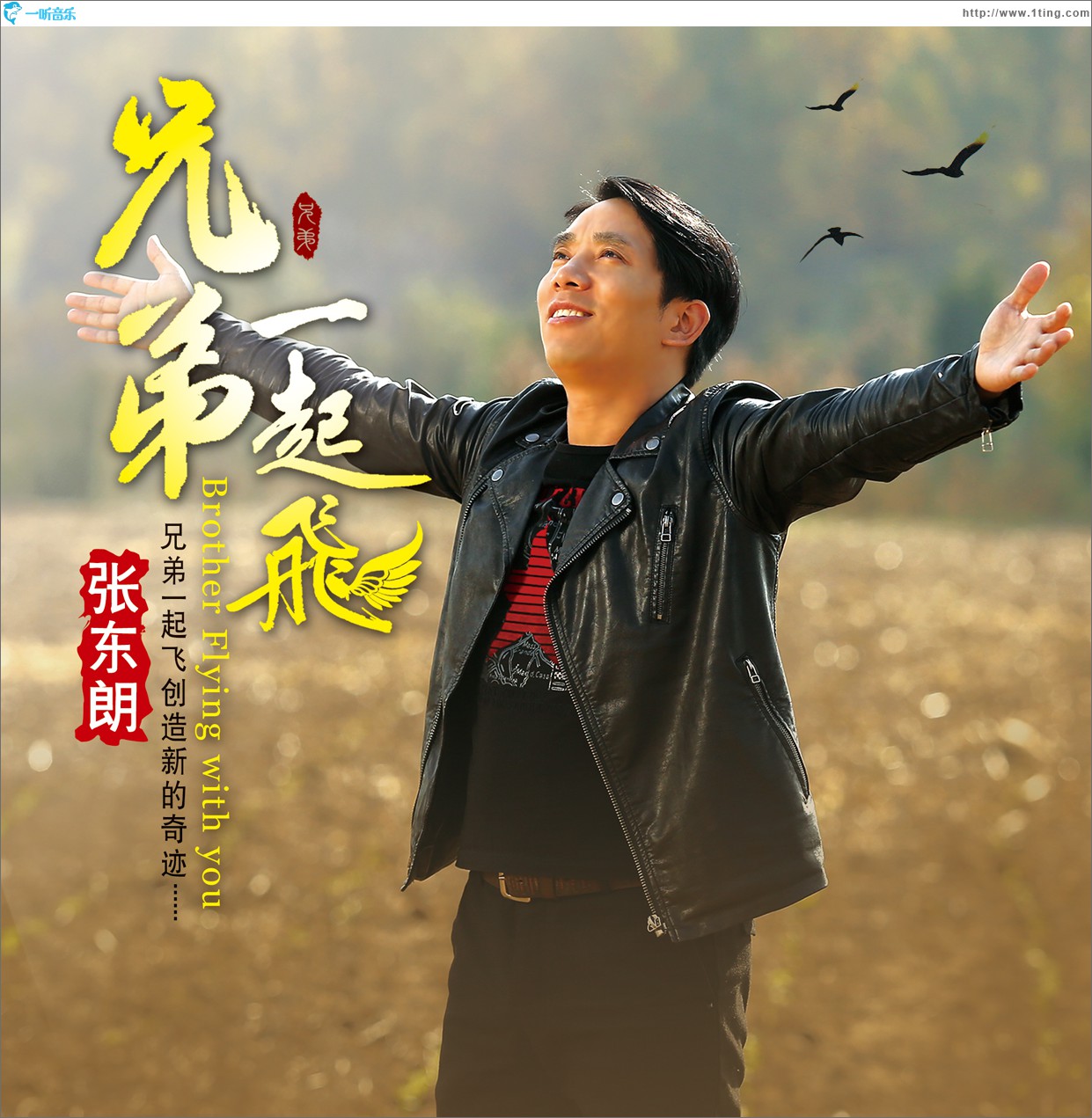 兄弟一起飞(单曲)
