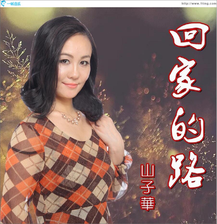 回家的路 (单曲)