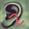 Thee Oh Sees You Will Find It Here 试听