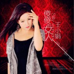 傻傻的女人 (单曲)试听