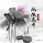 凤凰花开 (单曲)试听