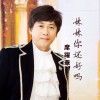 妹妹你还好吗 (单曲)