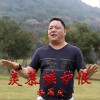 杨国庆 羡慕嫉妒恨 试听