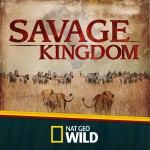 Savage Kingdom (Original National Geographic Television Soundtrack) 野蛮王国 原声详情