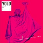 YOLO详情
