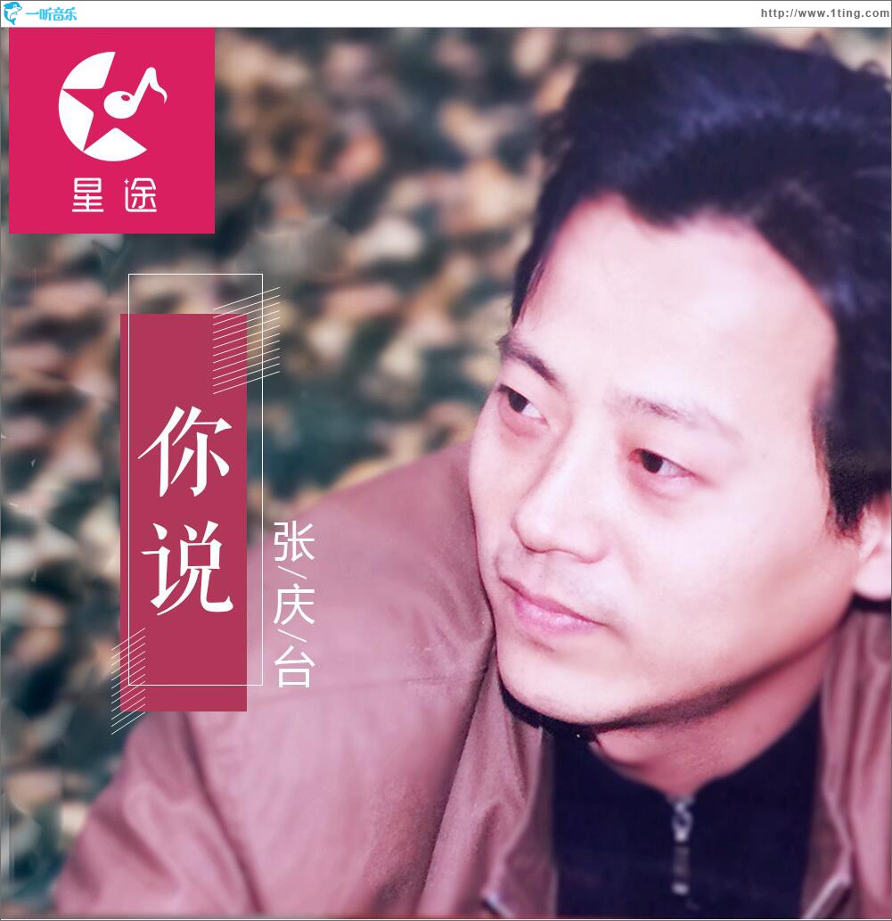 你说 (单曲)
