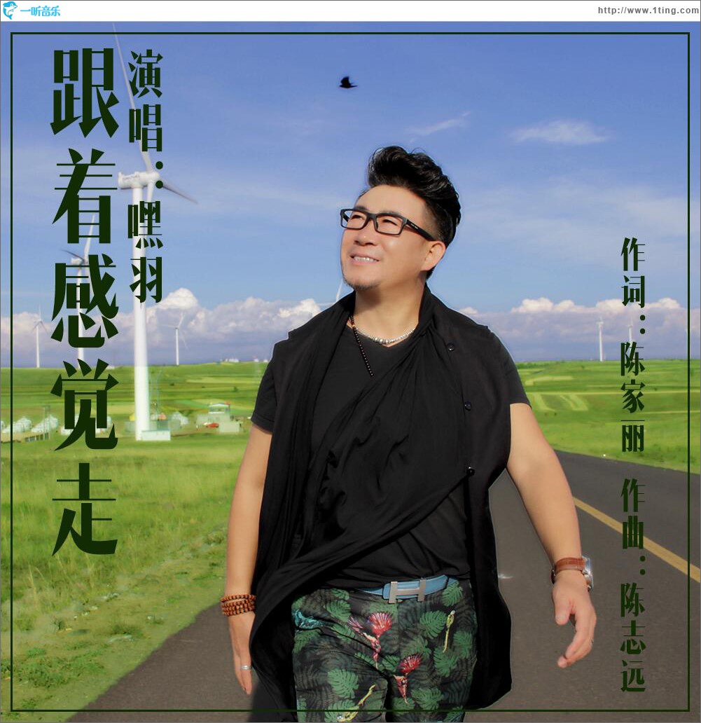 跟着感觉走 (单曲)