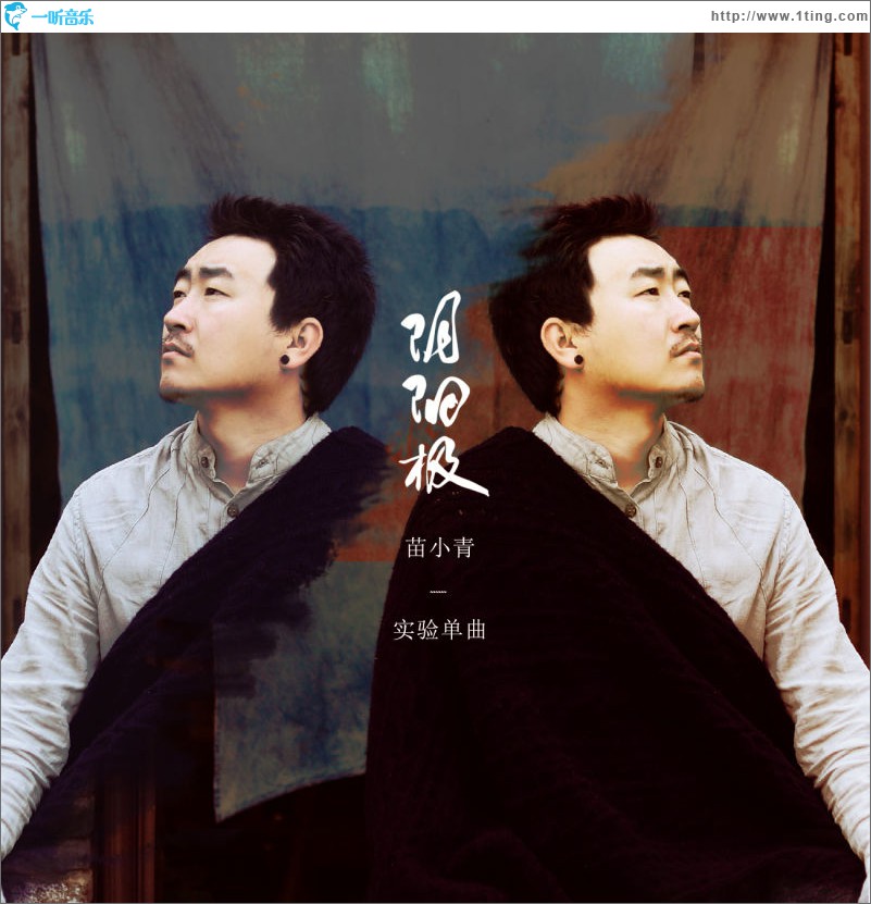 阴阳极