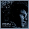 Shawn Mendes The Weight (Live at Madison Square Garden/2016) 试听