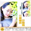 竹篱笆外野菊花 (单曲)