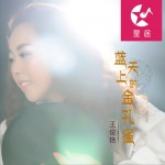 蓝天上的金孔雀 (EP)详情