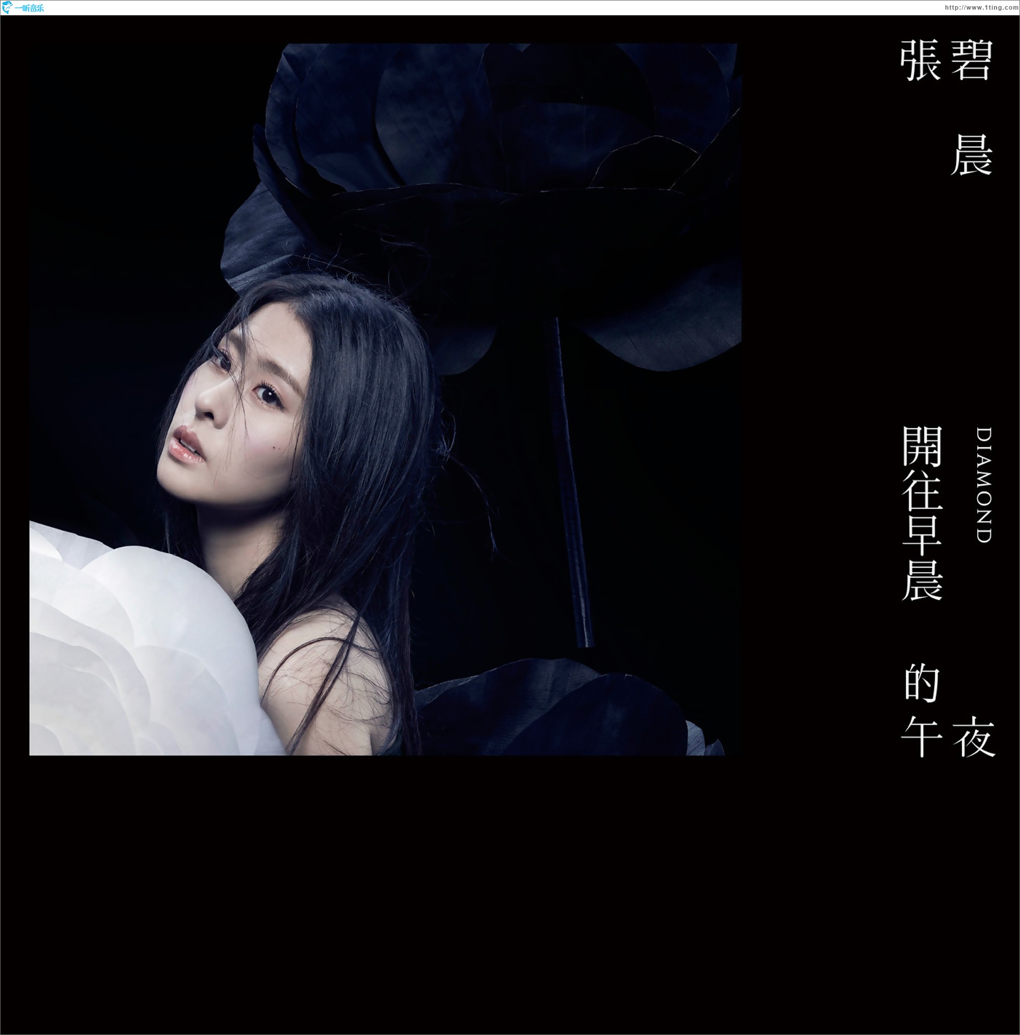开往早晨的午夜