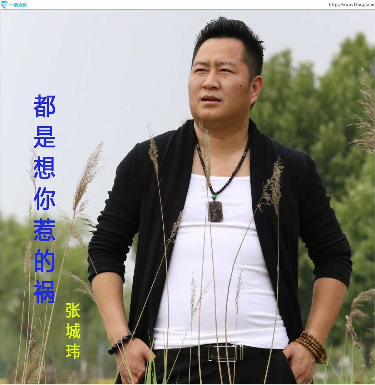 都是想你惹的祸 (单曲)